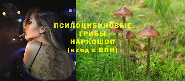 первитин Кинешма