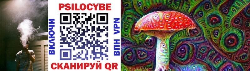 Галлюциногенные грибы Psilocybine cubensis  Купить  Североморск 